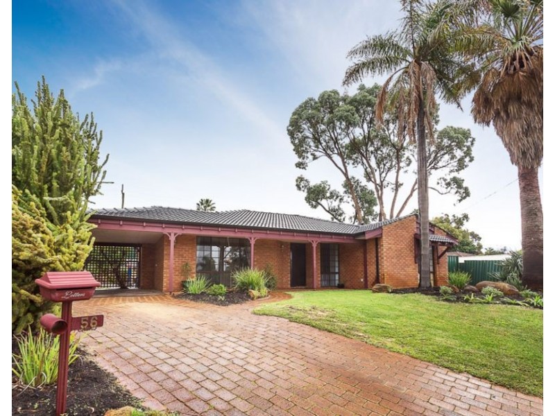 56 Sandpiper Loop, Yangebup WA 6164