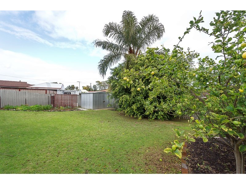 3 Knot Way, Yangebup WA 6164