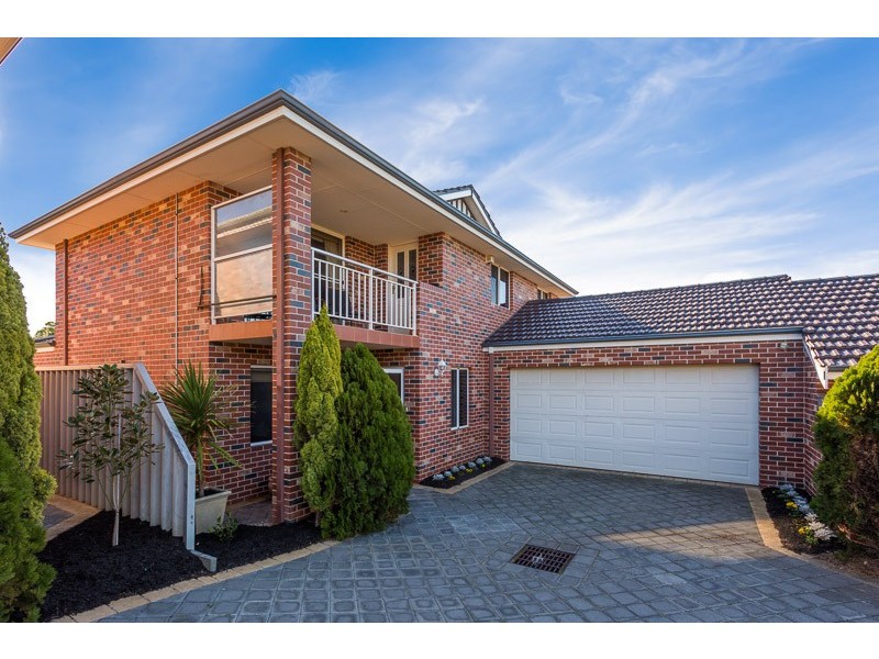 151B Wilding Street, Doubleview WA 6018