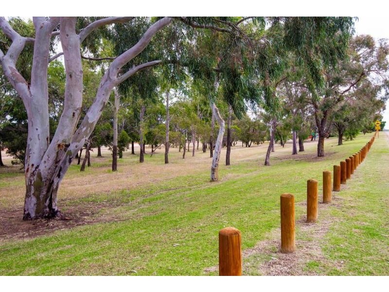 38B Nineham Avenue, Spearwood WA 6163