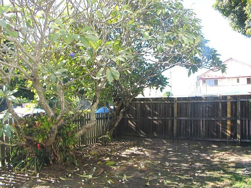 4 Little Norman, Southport QLD 4215