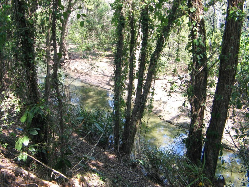 3 Dahlia C 67 Nerang St, Nerang QLD 4211