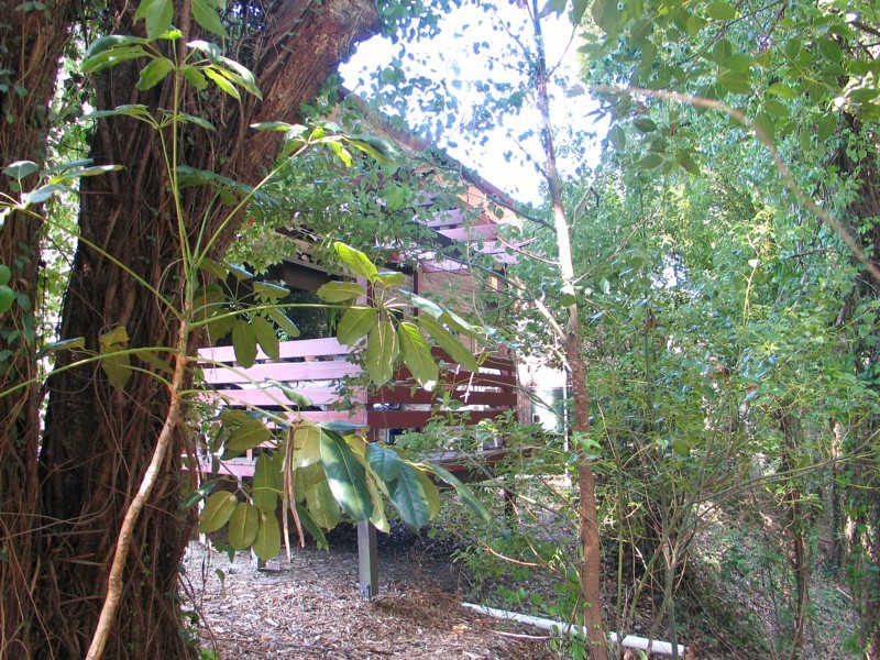 3 Dahlia C 67 Nerang St, Nerang QLD 4211