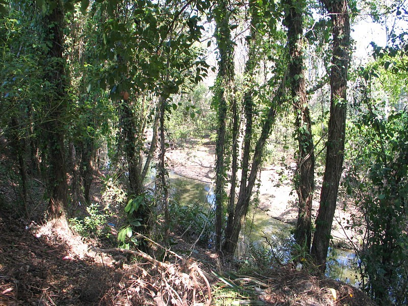 3 Dahlia C 67 Nerang St, Nerang QLD 4211