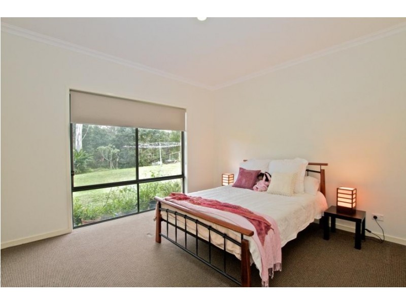 17 Pyrus Court, Gilston QLD 4211