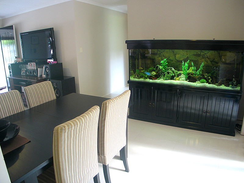 24 Minugh Court, Carrara QLD 4211