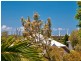 2/3 Tara Tce, Carrara QLD 4211