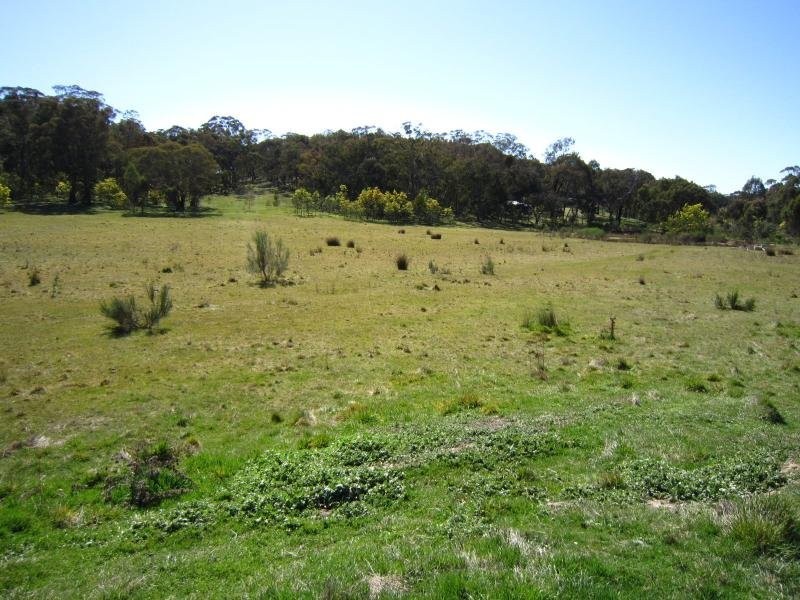 340 Yandoit Road, Yandoit VIC 3461