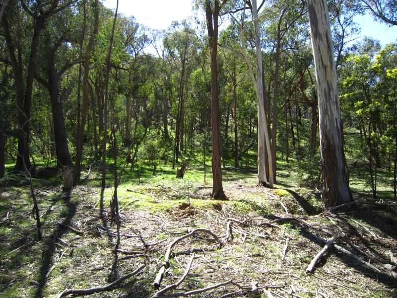 340 Yandoit Road, Yandoit VIC 3461