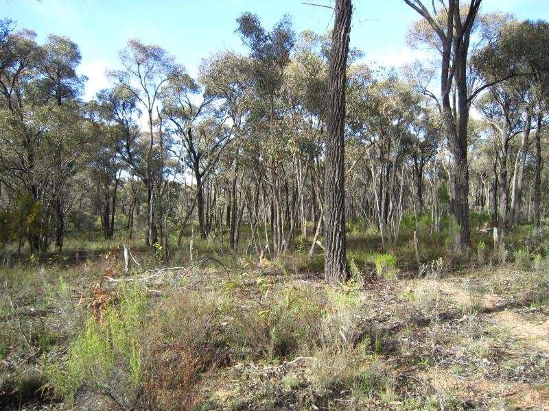 Lot 7 Wellsford Road, Junortoun VIC 3551