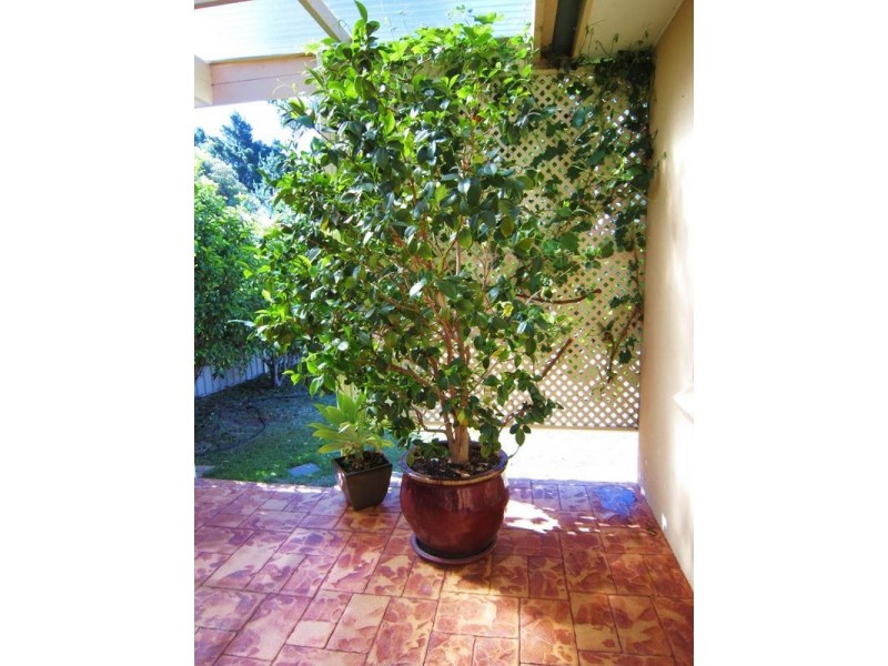 6 Irkara Drive, Kennington VIC 3550