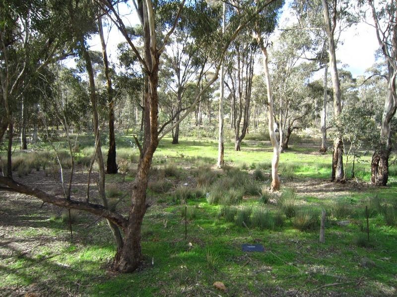 269 Howard Street, Jackass Flat VIC 3556