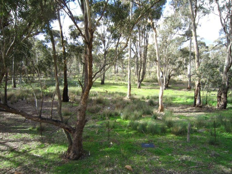 269 Howard Street, Jackass Flat VIC 3556