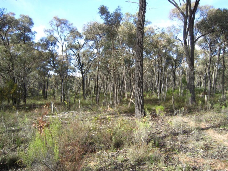 Lot 7,  Wellsford Road, Junortoun VIC 3551