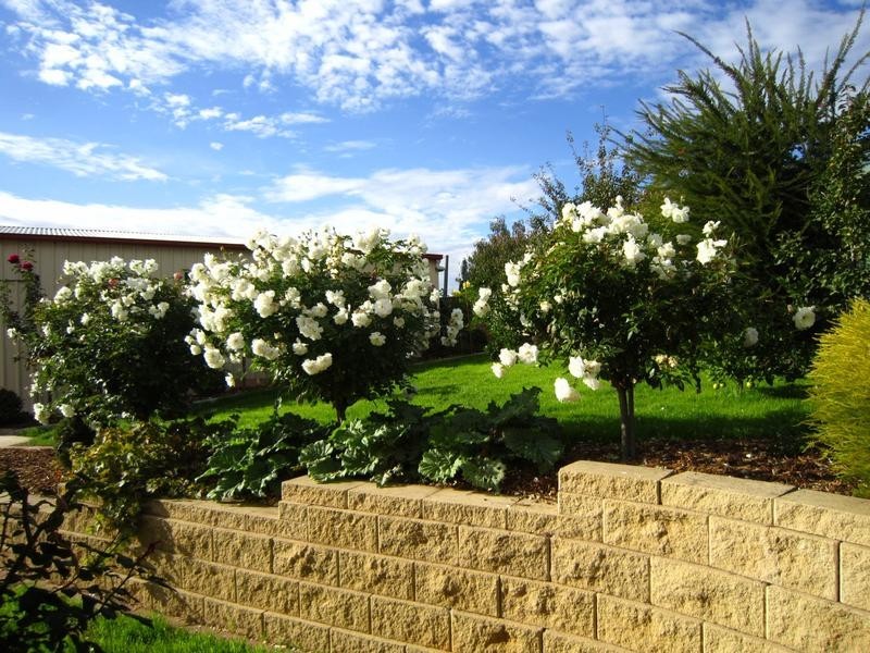 39 Northmoor Drive, Strathdale VIC 3550