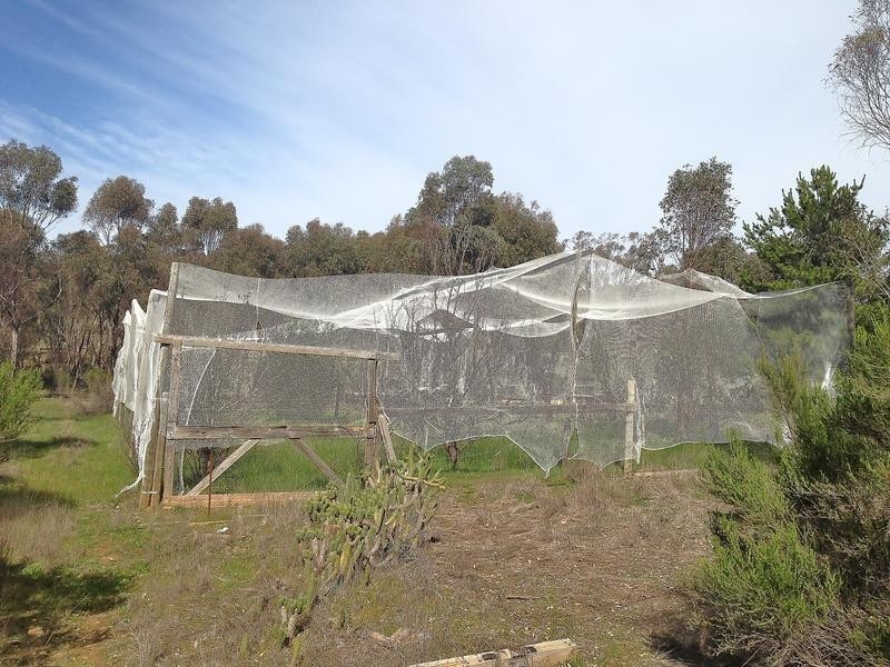 575 Boort – Wedderburn Road, Wedderburn VIC 3518