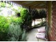19 Horace Street, Quarry Hill VIC 3550