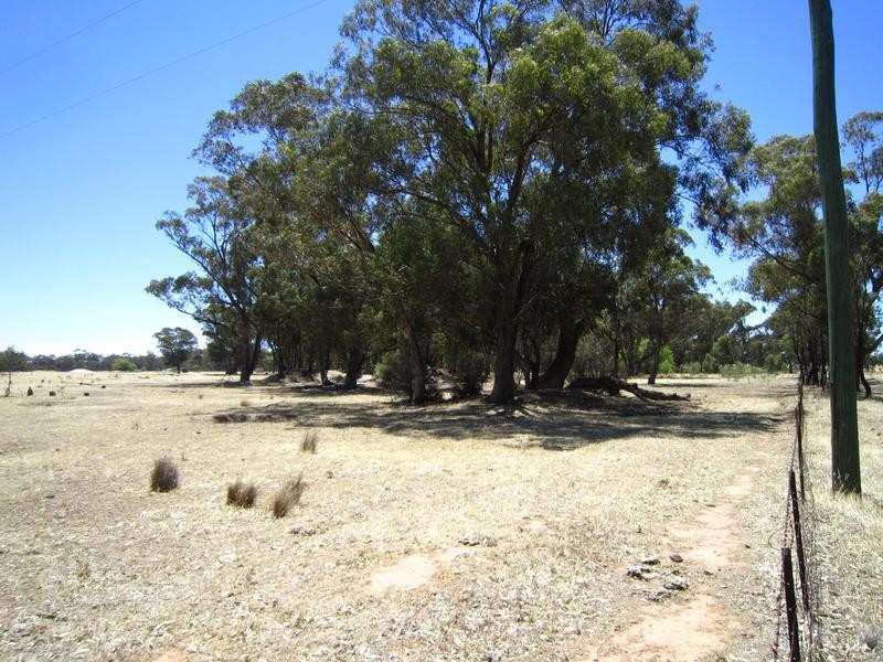 Neilborough VIC 3570