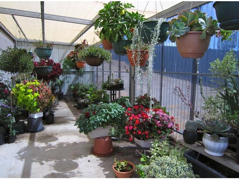 167a Upper California Gully Road, California Gully VIC 3556