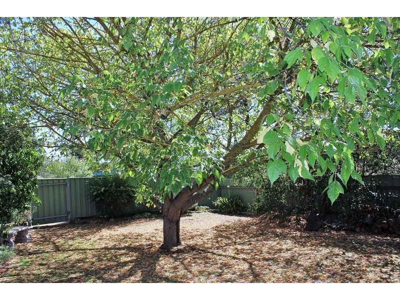 14 Murphy Street, Castlemaine VIC 3450