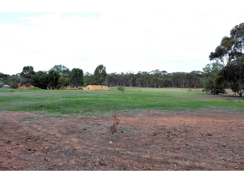 100 Millers Flat Road, Whipstick VIC 3556