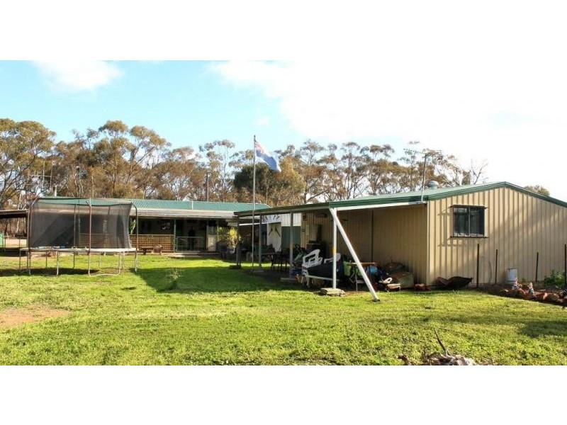 11 Sullivan Street, Inglewood VIC 3517