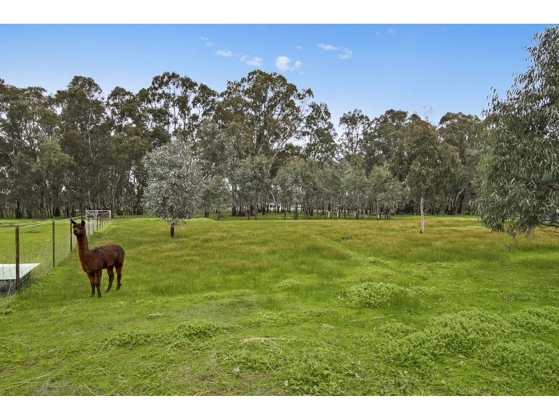 1082 McIvor Highway, Junortoun VIC 3551