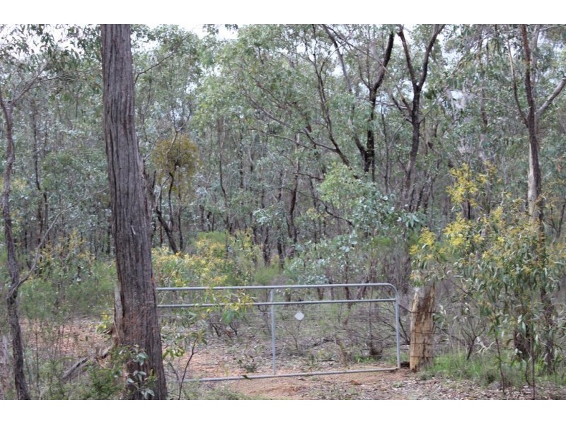 47 Shanahans Road, Eppalock VIC 3551