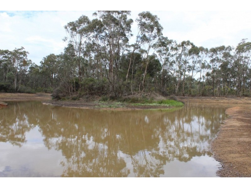 47 Shanahans Road, Eppalock VIC 3551