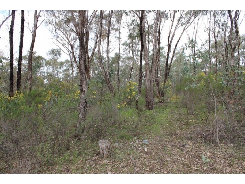 47 Shanahans Road, Eppalock VIC 3551