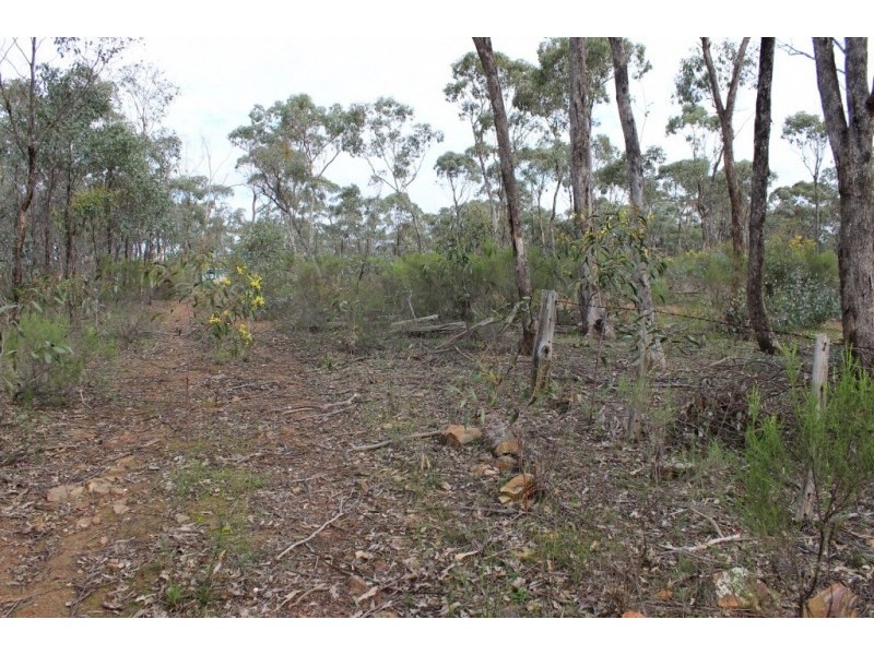 47 Shanahans Road, Eppalock VIC 3551