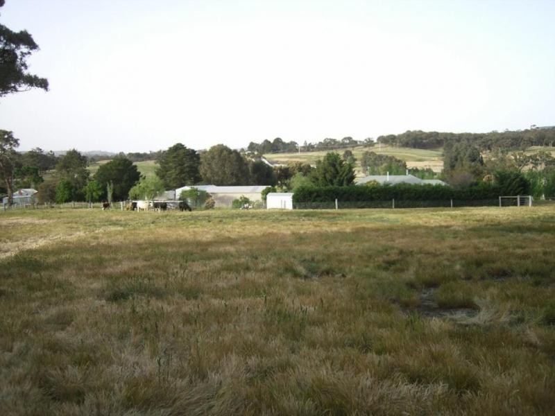 38 Blackjack Road, Harcourt VIC 3453