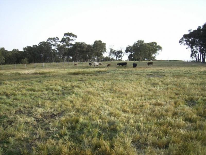 38 Blackjack Road, Harcourt VIC 3453