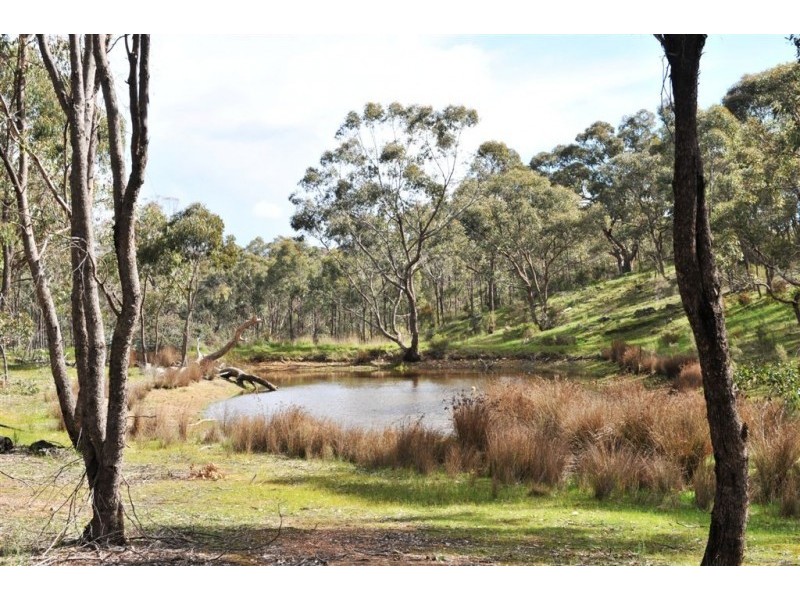 151 Congdon Road, Barkers Creek VIC 3451