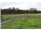 131 Old Boort Road, Wedderburn VIC 3518