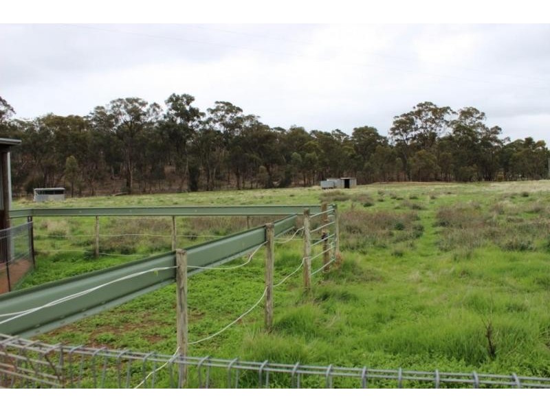 131 Old Boort Road, Wedderburn VIC 3518