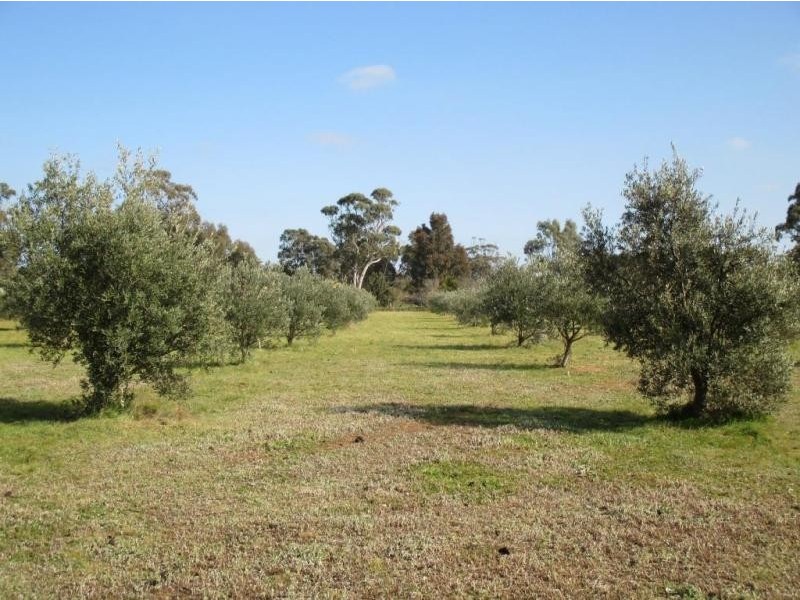 160 Grisold Road, Laanecoorie VIC 3463