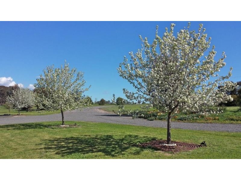 205 Mulberry Lane, Lockwood South VIC 3551
