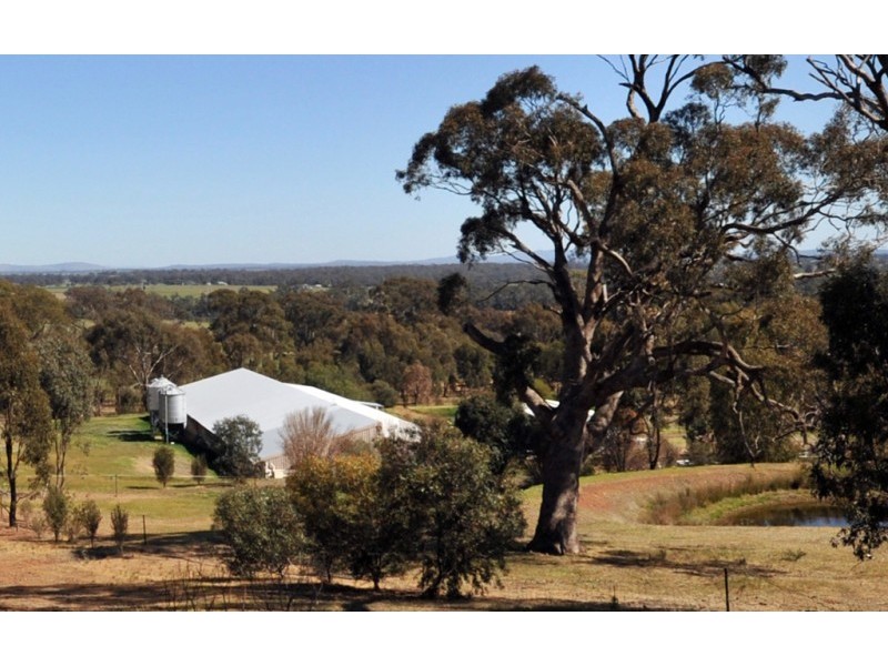 101 Douglas Road, Baringhup VIC 3463