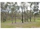 151 Congdon Road, Barkers Creek VIC 3451