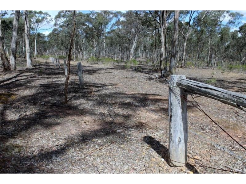 13 Williamsons Road, Laanecoorie VIC 3463