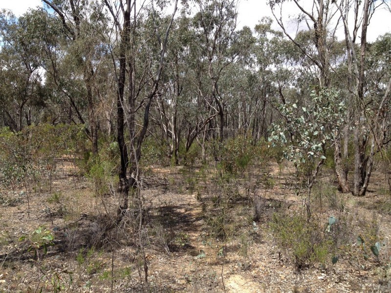 Lot 10 Bill Mollison Drive, Axedale VIC 3551