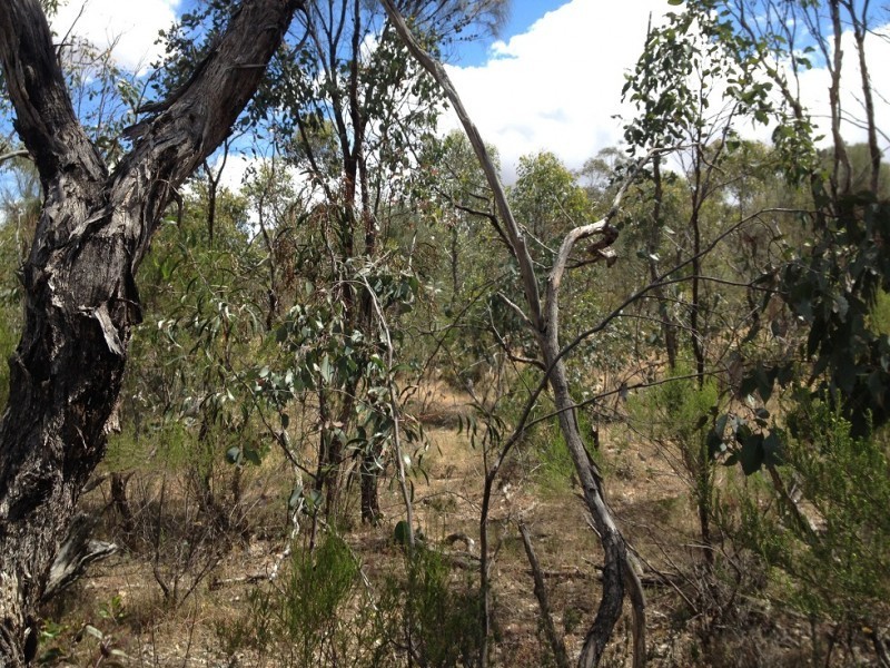 Lot 10 Bill Mollison Drive, Axedale VIC 3551