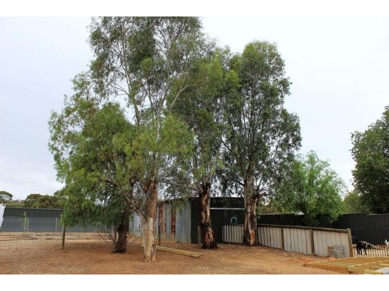 33 Charlton Road, Wedderburn VIC 3518