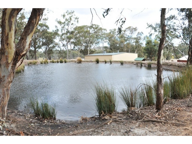 850 Calder Highway, Lockwood South VIC 3551