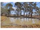 84 Tandarra-Serpentine Road, Raywood VIC 3570