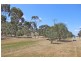 84 Tandarra-Serpentine Road, Raywood VIC 3570