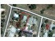 3 Pascoe Street, Long Gully VIC 3550