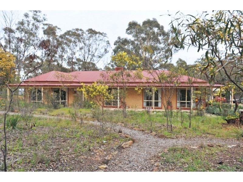 19 Burra Burra Road, Maiden Gully VIC 3551