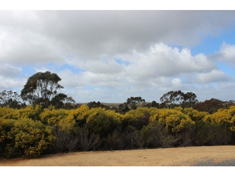 415 Boort Wedderburn Road, Wedderburn VIC 3518